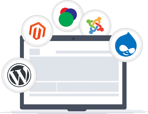 Website Development Company in Delhi, India